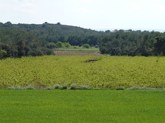Exploitation agricole locale